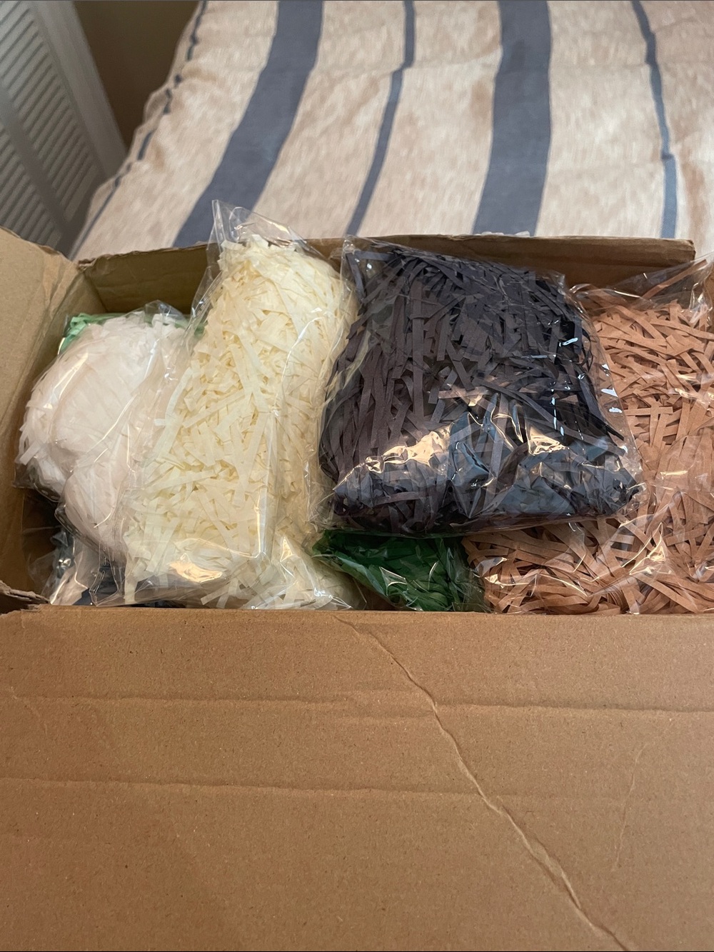 Assorted Gift Shred Filler - Cream, Black, Blush, Green